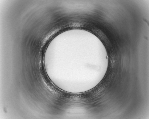 X0000100220728200806271726