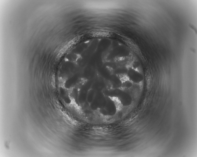 X0000100220729200806271726