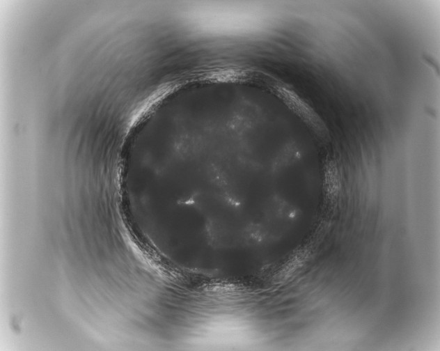 X0000100220730200806271726