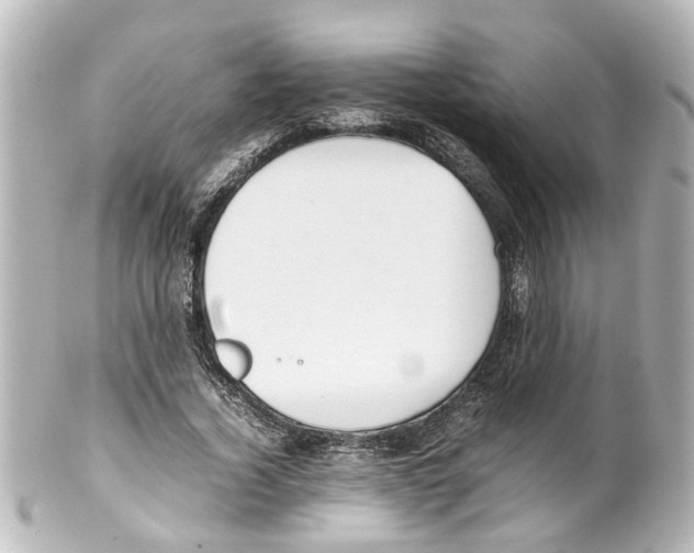 X0000100220732200806271726