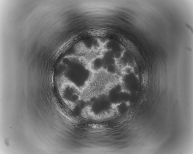 X0000100220733200806271726