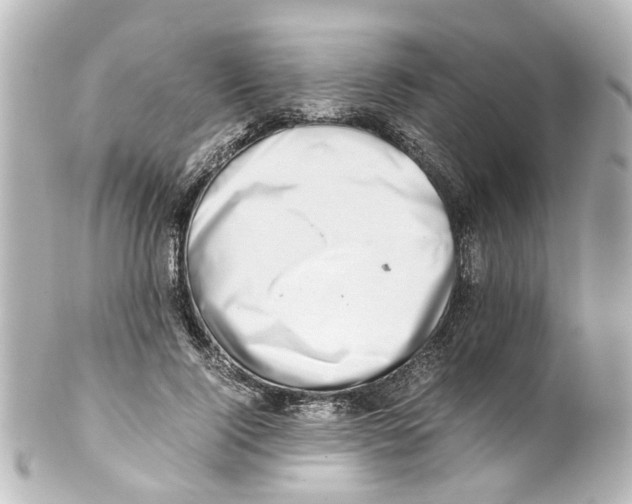 X0000100220740200806271727