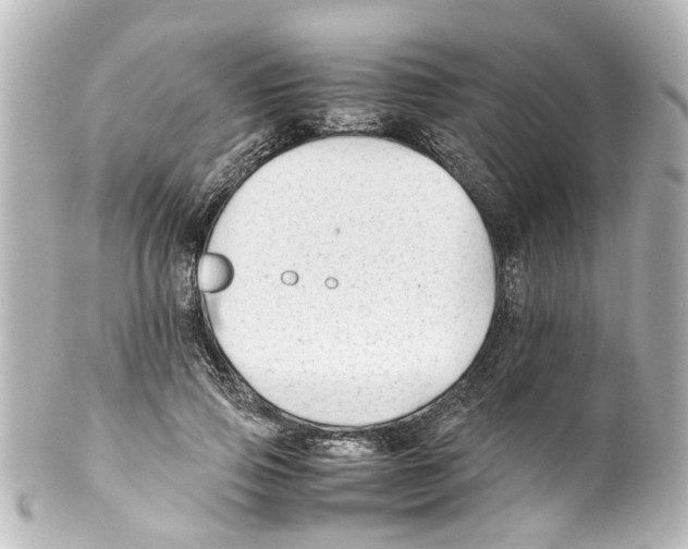 X0000100220741200806271727