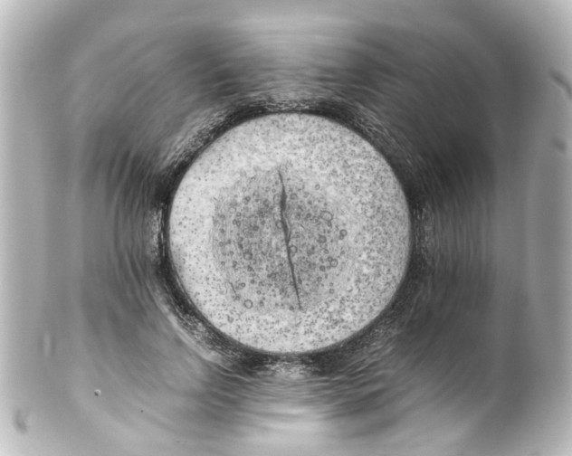 X0000100220742200806271727