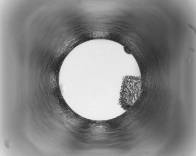 X0000100220743200806271727