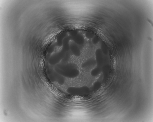 X0000100220746200806271727