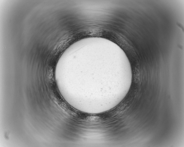 X0000100220748200806271727