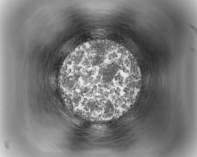 X0000100220749200806271727