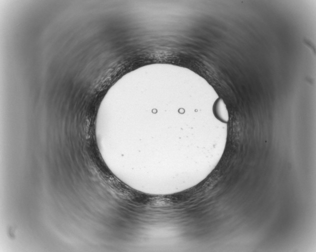 X0000100220750200806271727