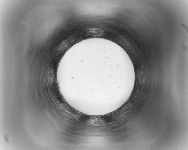 X0000100220752200806271727