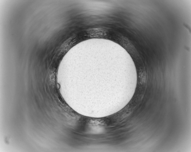 X0000100220753200806271727