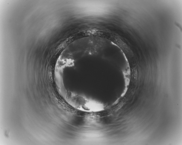 X0000100220754200806271727