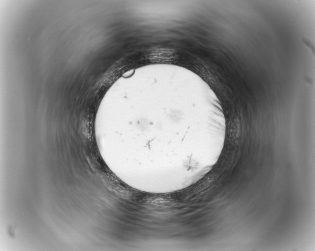 X0000100220755200806271727