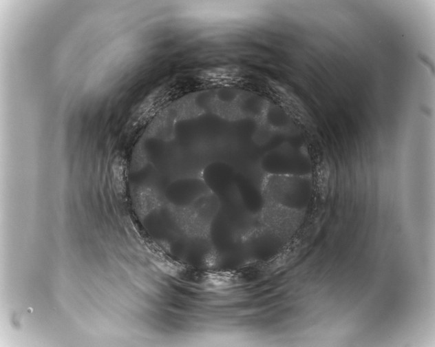 X0000100220757200806271727