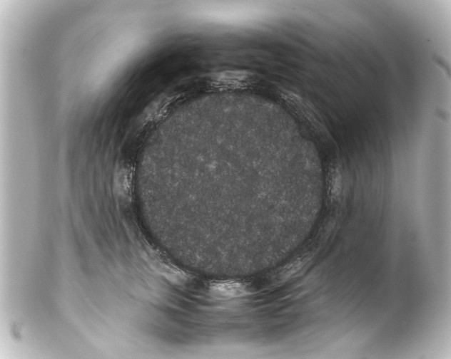 X0000100220759200806271727