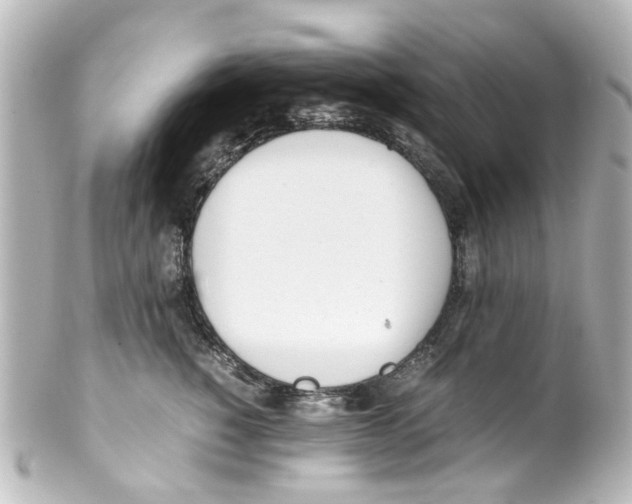 X0000100220760200806271727