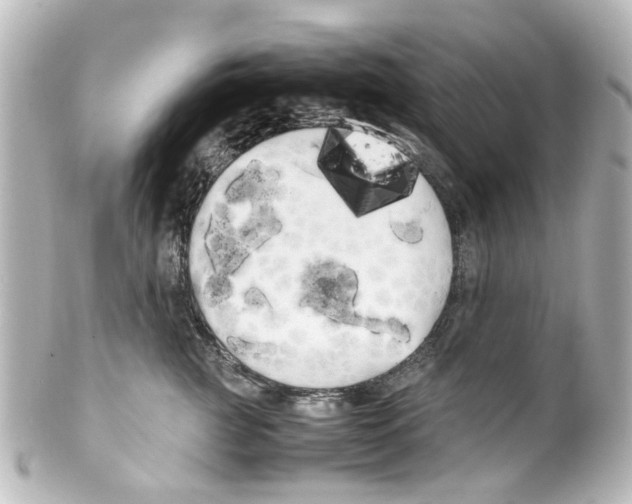 X0000100220761200806271727