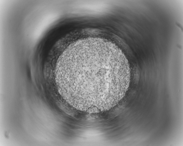 X0000100220762200806271727