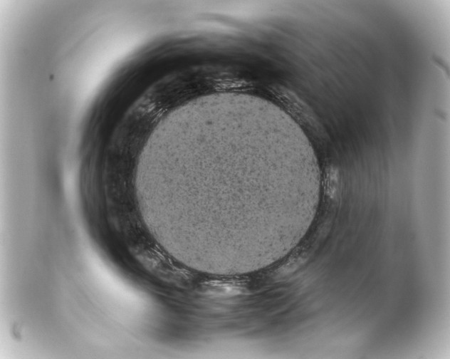 X0000100220763200806271727