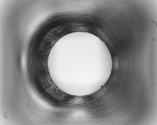 X0000100220764200806271727