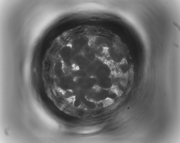 X0000100220765200806271727