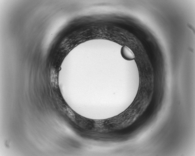 X0000100220766200806271727