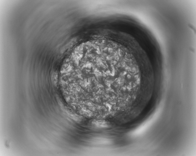 X0000100220767200806271727