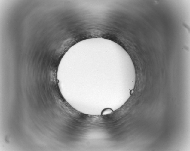 X0000100220768200806271727