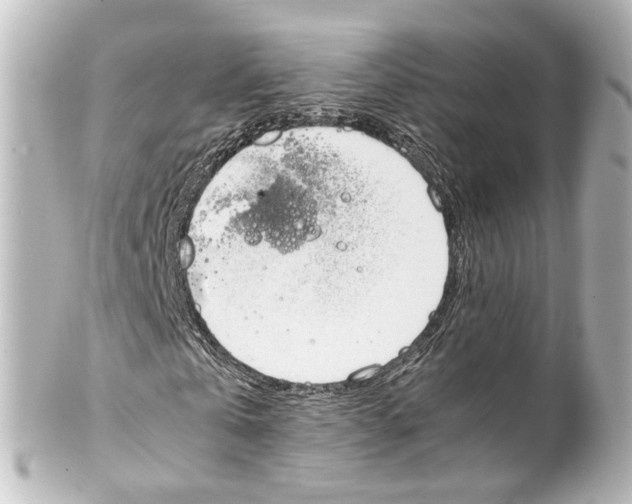 X0000100220769200806271726