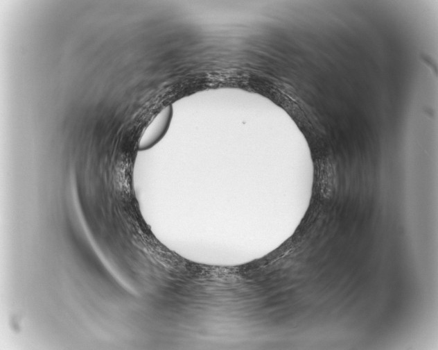 X0000100220770200806271726