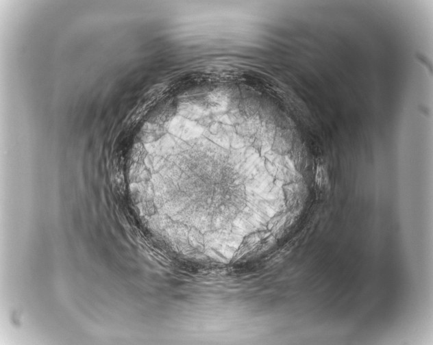 X0000100220771200806271726