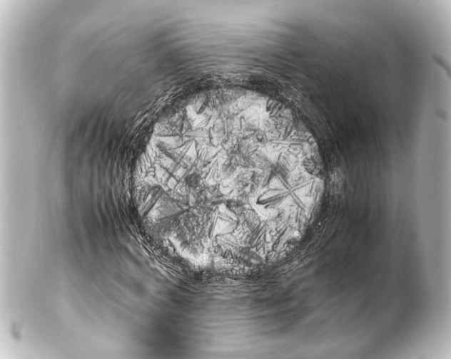 X0000100220772200806271726