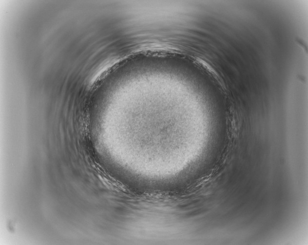 X0000100220775200806271726