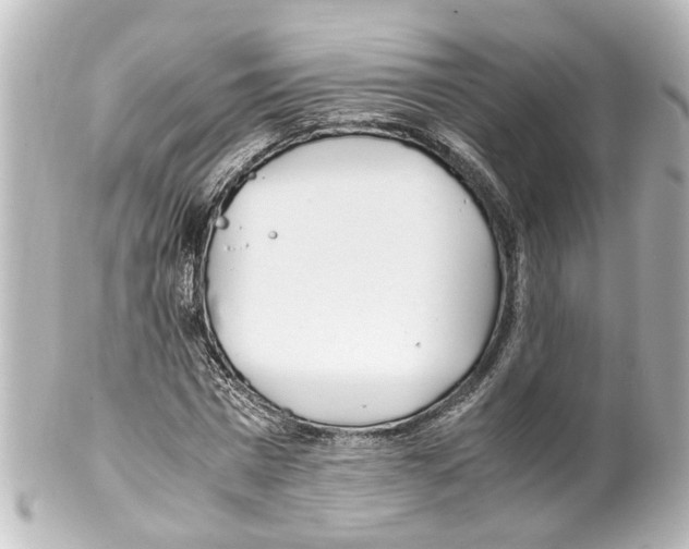 X0000100220777200806271726