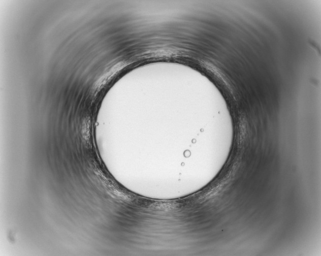 X0000100220778200806271726