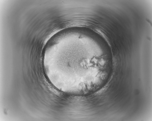 X0000100220779200806271726