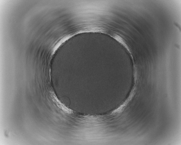 X0000100220781200806271726