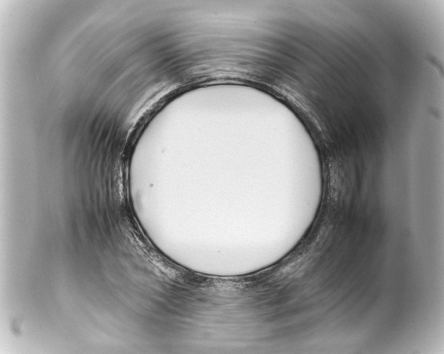 X0000100220782200806271726