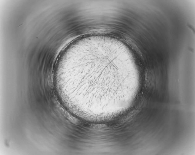 X0000100220784200806271726