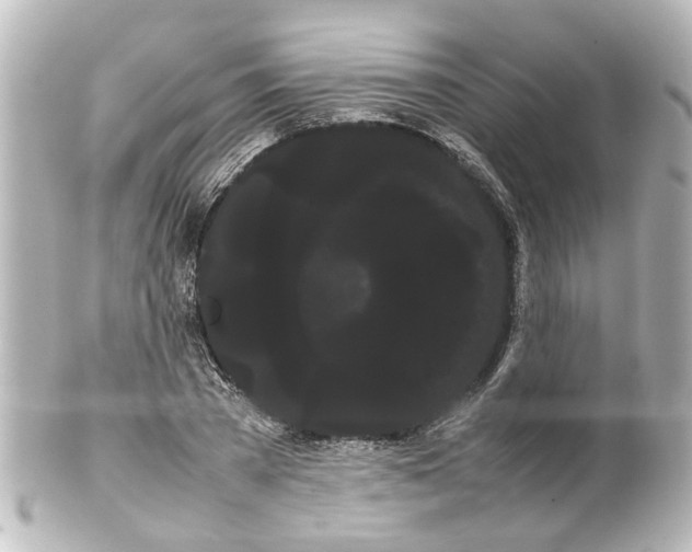 X0000100220785200806271726