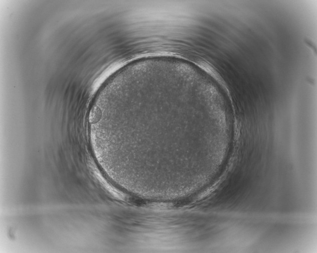 X0000100220789200806271726