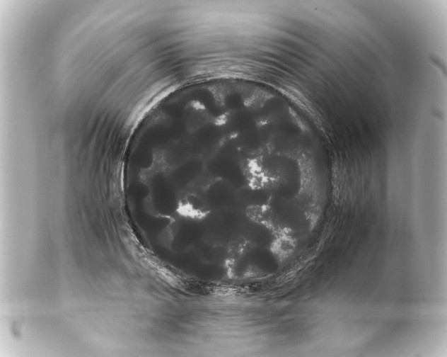 X0000100220790200806271726