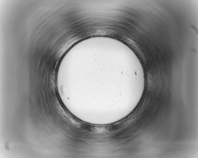 X0000100220794200806271726