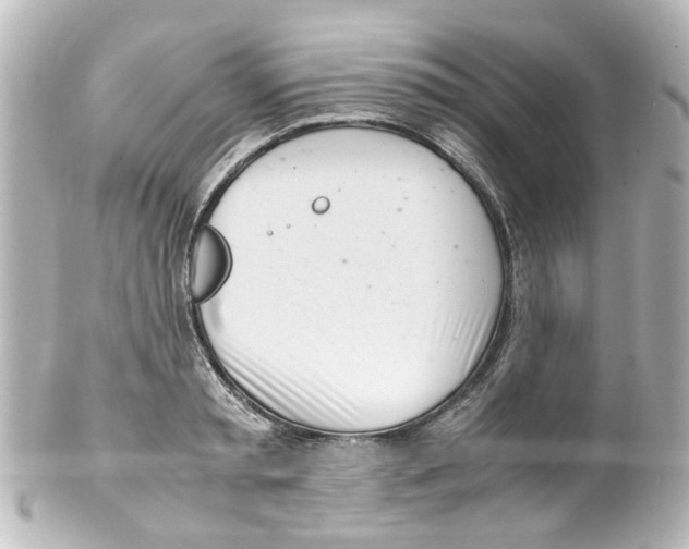 X0000100220797200806271726