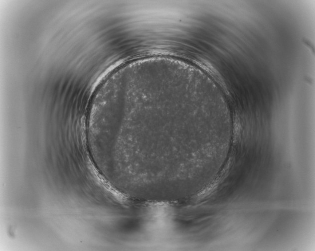 X0000100220798200806271726