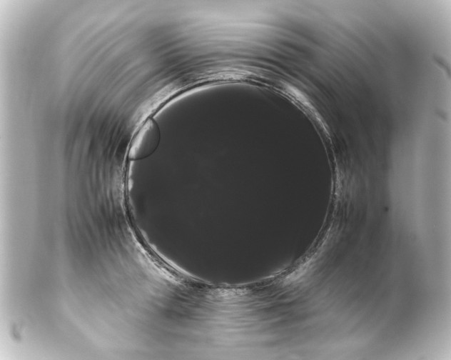 X0000100220802200806271726