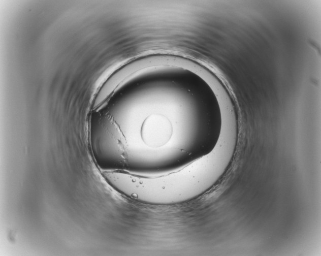 X0000100220807200806271726