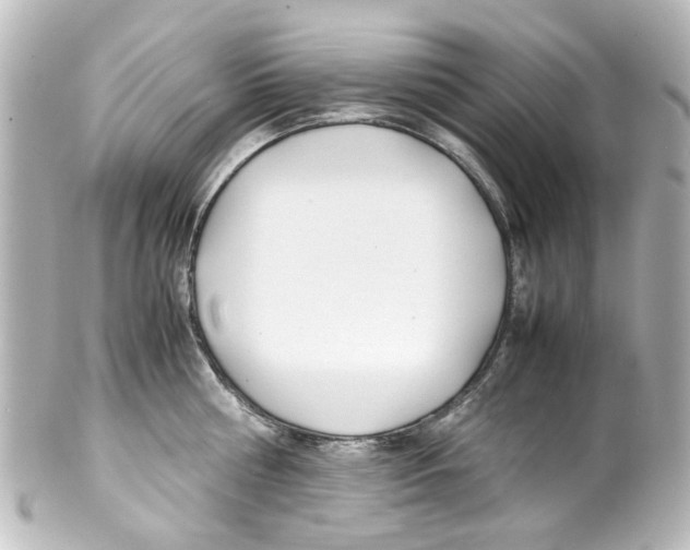 X0000100220810200806271726