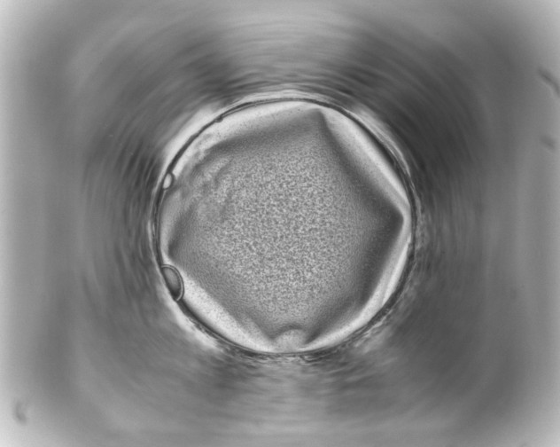 X0000100220813200806271726