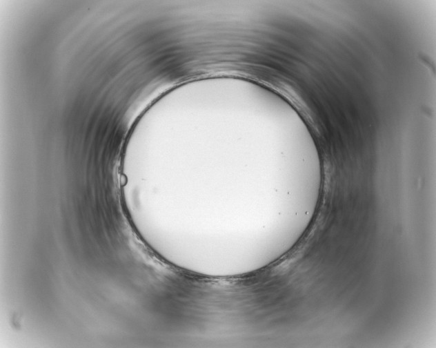 X0000100220814200806271726